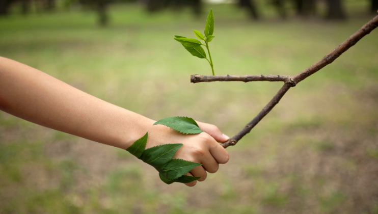 nature for mental health