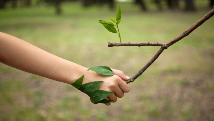 Nature and mental health