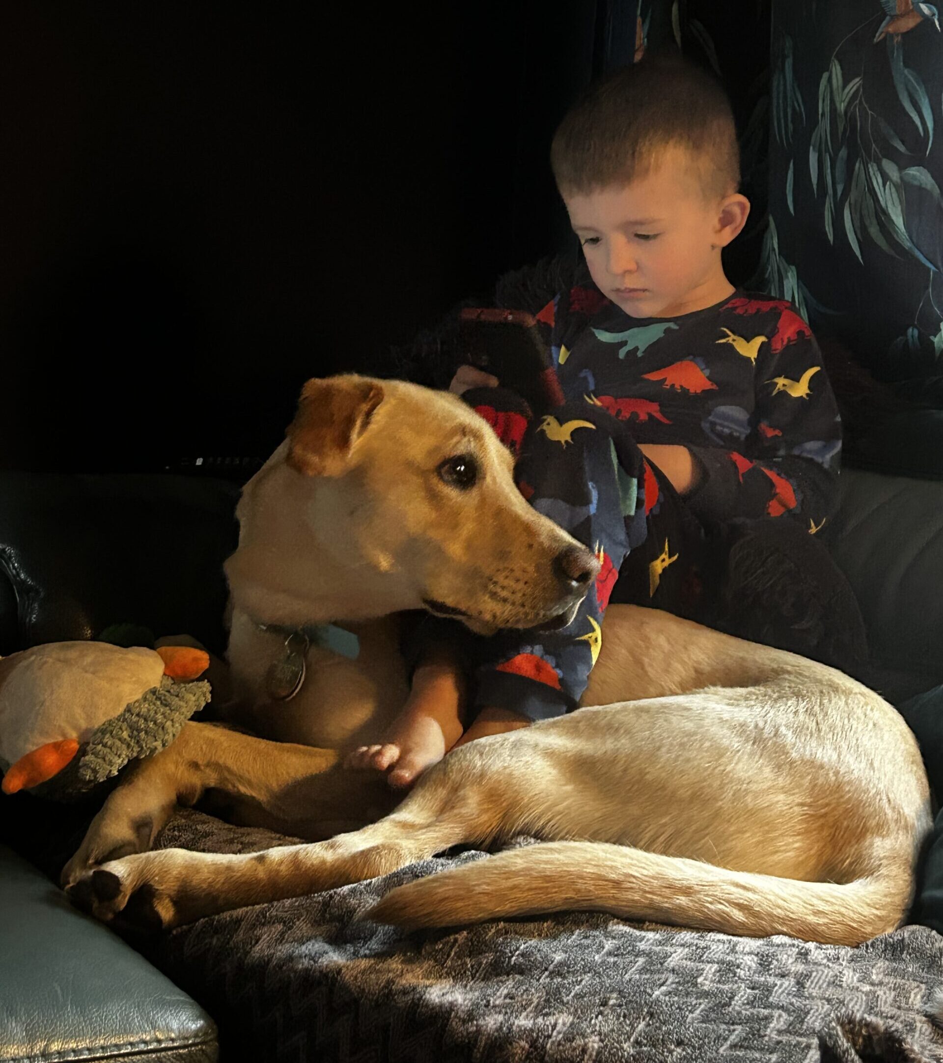 A young boy in dinosaur pajamas sits on a couch, focused on a tablet, while a tan dog lies next to him. The boy’s feet rest on the dog, and a soft toy is nearby. The scene is cozy and softly lit.
