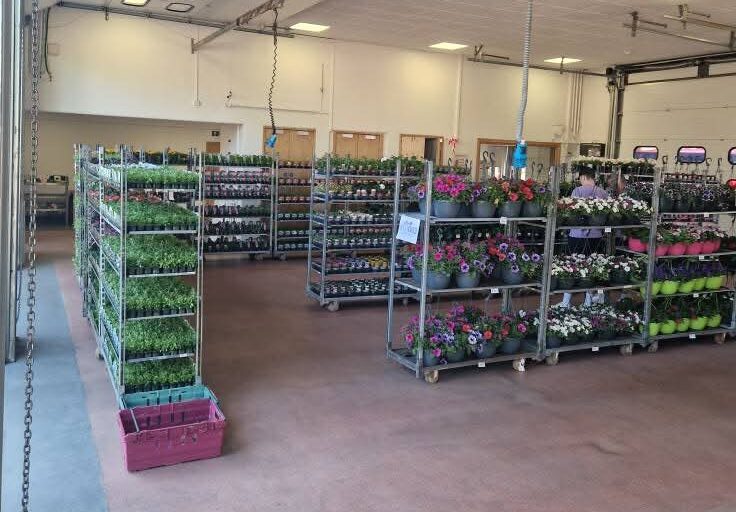 A spacious indoor area with rows of metal racks holding various potted plants and flowers. The space has a high ceiling, large garage doors, and bright overhead lighting.