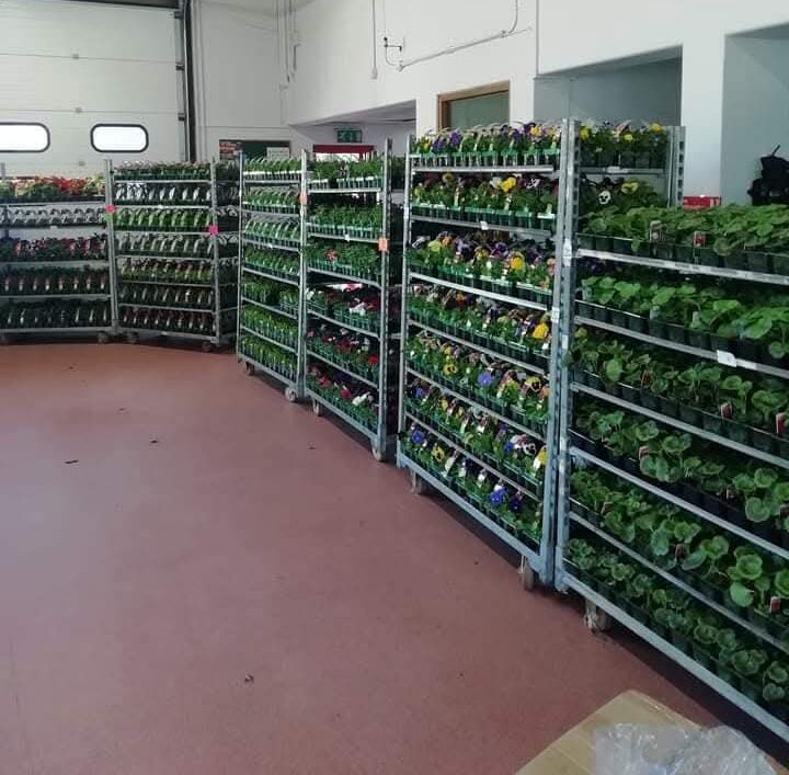Rows of metal shelves filled with rows of small potted plants, likely seedlings, are arranged along the walls of a spacious indoor room with white walls and a tiled ceiling.