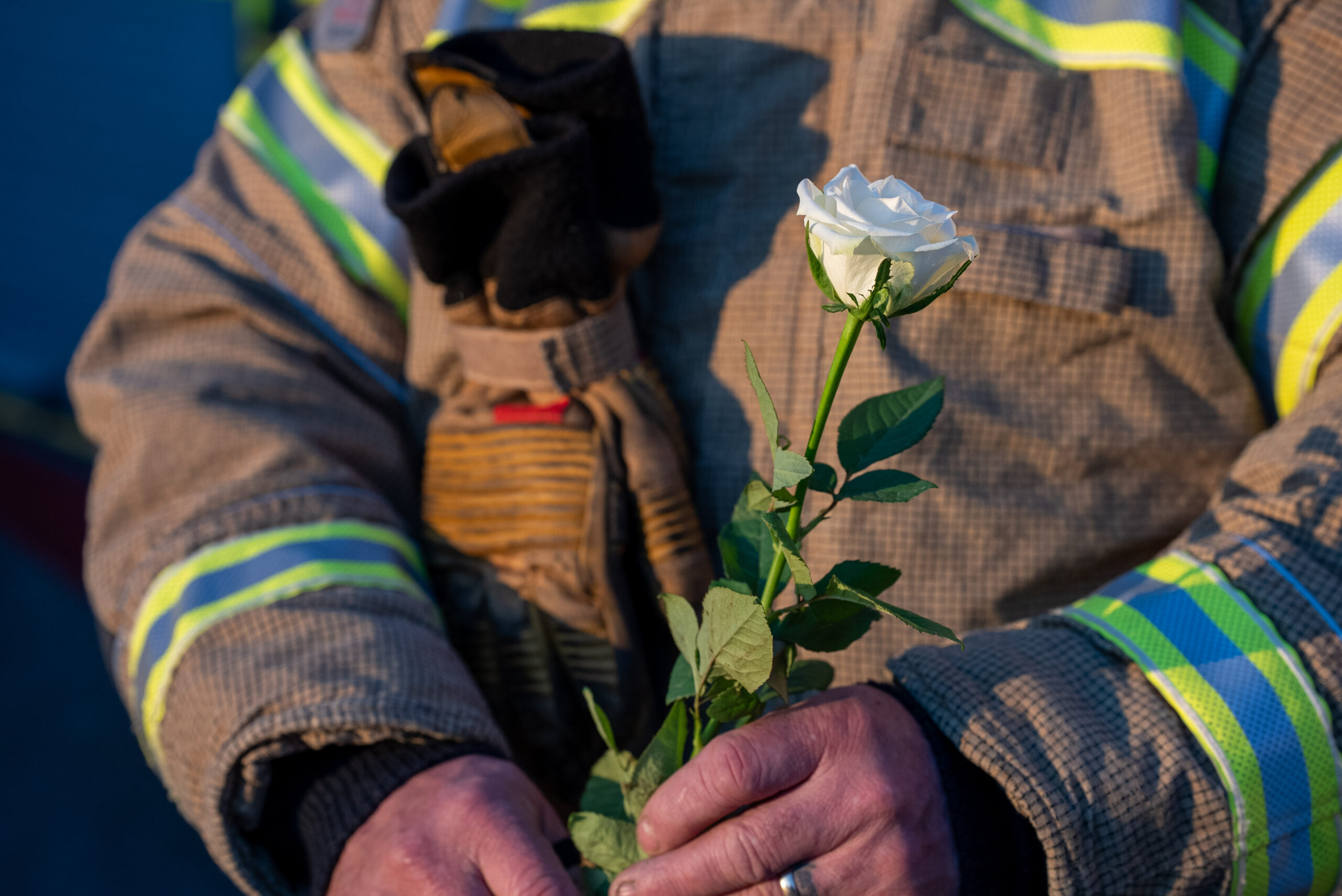 A firefighter in uniform holds a single white rose with both hands, with protective gloves tucked under one arm. The scene is calm and respectful.
