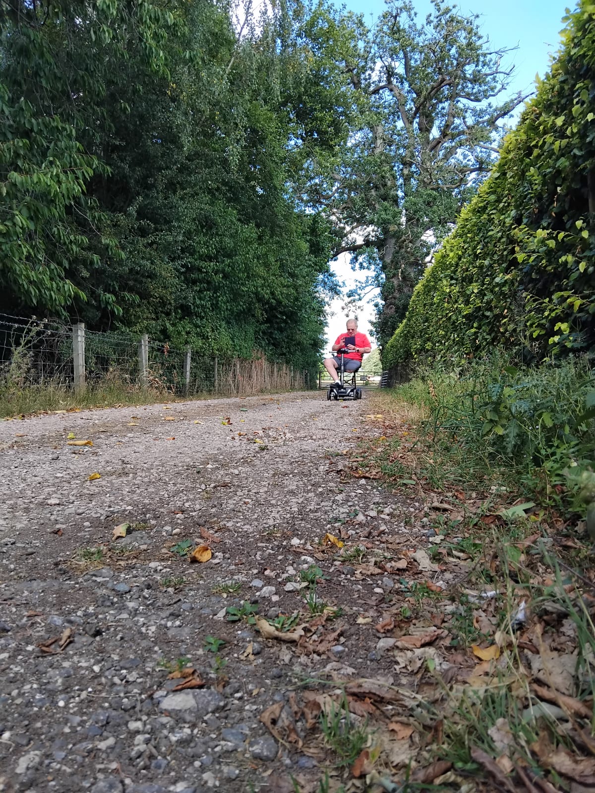 A person in a red shirt rides a mobility scooter down a gravel path surrounded by tall green trees and hedges on both sides, with leaves scattered on the ground.